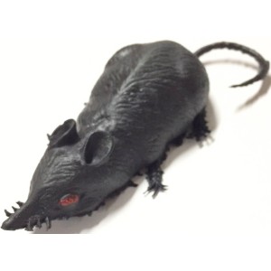 RATO DE BORRACHA PIMPUM